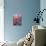 Poinsettia-Karen Armitage-Premier Image Canvas displayed on a wall