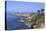 Point Arena Lighthouse, Mendocino County, California, United States of America, North America-Richard Cummins-Premier Image Canvas