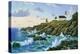 Point Cabrillo, CA-Eduardo Camoes-Premier Image Canvas