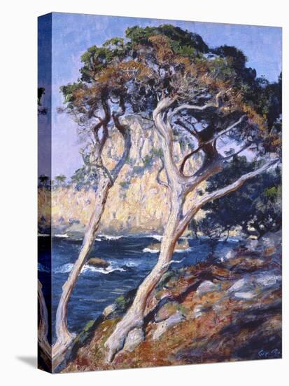 Point Lobos-Guy Rose-Stretched Canvas