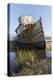 Point Reyes Shipwreck, Inverness, California-Paul Souders-Premier Image Canvas