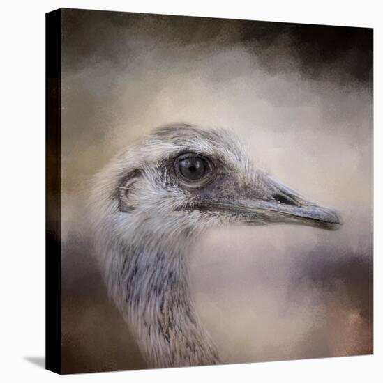 Poised Ostrich-Jai Johnson-Premier Image Canvas