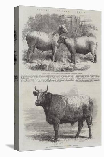 Poissy Cattle Show-Harrison William Weir-Premier Image Canvas