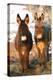 Poitou Donkey and Normal Donkey (On Right) Facing Camera-null-Premier Image Canvas