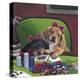 Poker Dogs 3-Jenny Newland-Premier Image Canvas