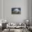 Poland. Composite of Ogrodzieniec Castle-Jaynes Gallery-Premier Image Canvas displayed on a wall