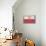 Poland Country Flag - Barnwood Painting-Lantern Press-Stretched Canvas displayed on a wall