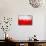 Poland Flag-igor stevanovic-Stretched Canvas displayed on a wall