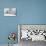 Polar Bear and Cubs X Two Sitting-null-Premier Image Canvas displayed on a wall