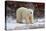 Polar Bear in the Brush-Howard Ruby-Premier Image Canvas