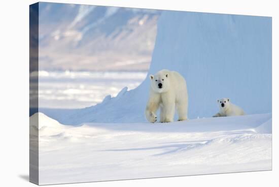 Polar Bear Mother And Cub-Louise Murray-Premier Image Canvas