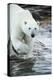 Polar Bear on Harbour Islands, Hudson Bay, Nunavut, Canada-Paul Souders-Premier Image Canvas