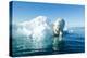 Polar Bear on Iceberg, Hudson Bay, Nunavut, Canada-Paul Souders-Premier Image Canvas