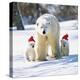 Polar Bear Parent with Cubs Wearing Christmas Hats-null-Premier Image Canvas