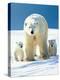 Polar Bear Parent with Cubs-null-Premier Image Canvas