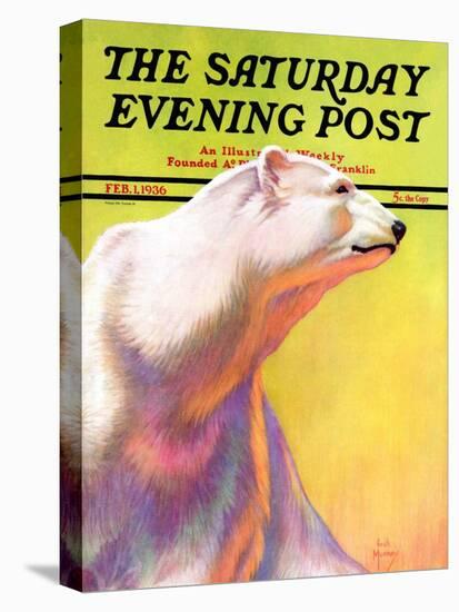 "Polar Bear," Saturday Evening Post Cover, February 1, 1936-Jack Murray-Premier Image Canvas