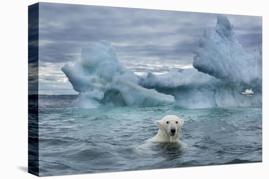 Polar Bear Swimming Near Melting Iceberg Near Harbor Islands,Canada-Paul Souders-Premier Image Canvas