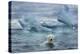 Polar Bear Swimming Near Melting Iceberg Near Harbor Islands,Canada-Paul Souders-Premier Image Canvas