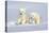 Polar Bear Twins-Howard Ruby-Premier Image Canvas
