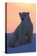Polar Bear (Ursus Maritimus) and Cub, Wapusk National Park, Churchill, Hudson Bay, Manitoba, Canada-David Jenkins-Premier Image Canvas