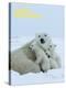 Polar Bear (Ursus Maritimus)-Thorsten Milse-Stretched Canvas