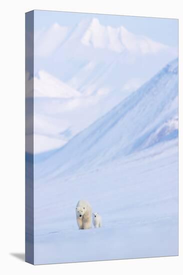 Polar bear with cub walking with mountains in background-Danny Green-Premier Image Canvas