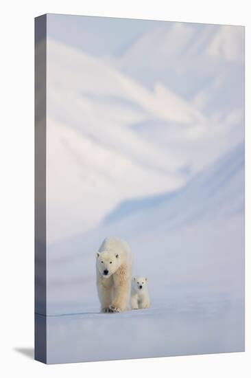 Polar bear with cub walking with mountains in background-Danny Green-Premier Image Canvas