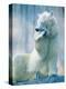 Polar bear yawning in zoo enclosure-Herbert Kehrer-Premier Image Canvas