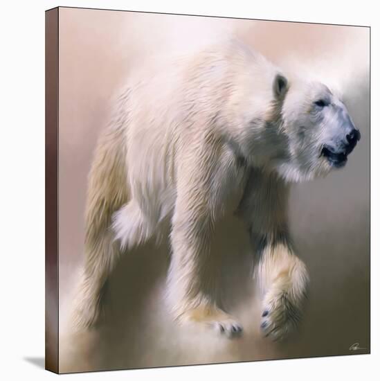 Polar Bear-Paul Miners-Stretched Canvas