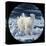 Polar Bear-Jeff Tift-Premier Image Canvas