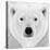 Polar Bear-PhotoINC Studio-Premier Image Canvas