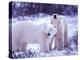 Polar Bears, Churchill, Manitoba, Canada-Gavriel Jecan-Premier Image Canvas