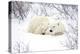 Polar Bears, Female and Cub, Churchill Wildlife Area, Manitoba, Canada-Richard ans Susan Day-Premier Image Canvas