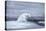 Polar Bears Watching for Seals at an Ice Hole, C1867-1910-John Macallan Swan-Premier Image Canvas
