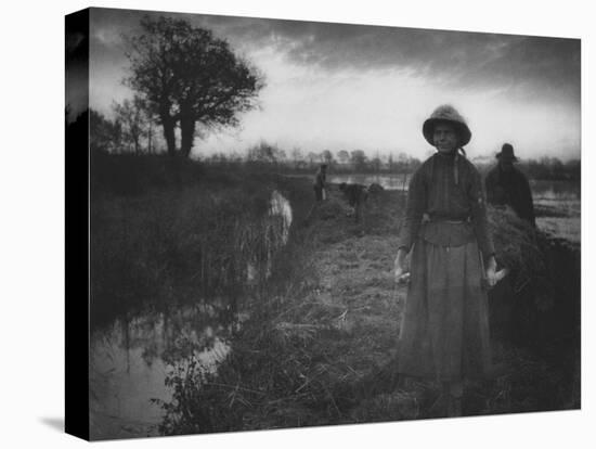 Poling the Marsh Hay, 1886 platinum print from glass negative-Peter Henry Emerson-Premier Image Canvas