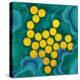 Polio Viruses, TEM-Dr. Linda Stannard-Premier Image Canvas