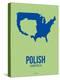 Polish America Poster 3-NaxArt-Stretched Canvas