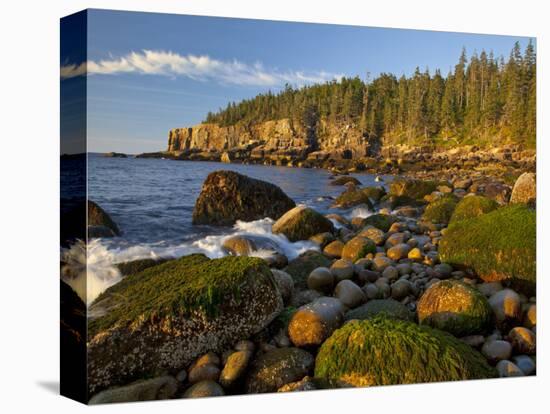 Polished Rocks at Otter Cliffs, Acadia National Park, Maine, USA-Chuck Haney-Premier Image Canvas