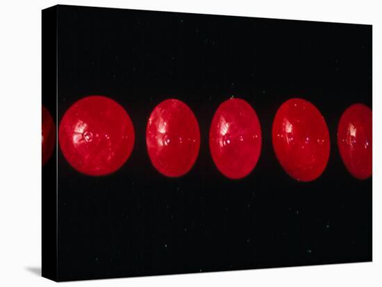 Polished Rubies-Vaughan Fleming-Premier Image Canvas