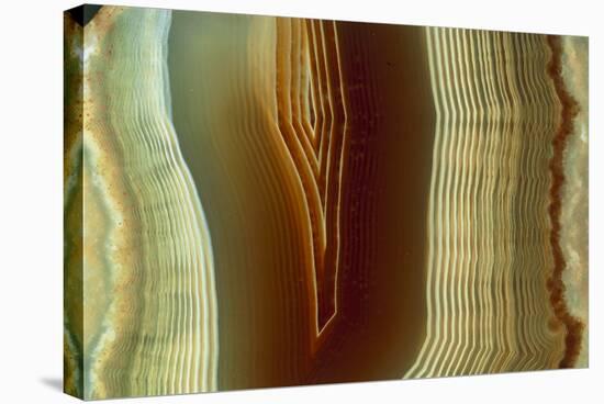 Polished Slice of Agate-Vaughan Fleming-Premier Image Canvas