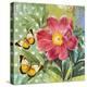 Polka Dot Peony-Walter Robertson-Stretched Canvas