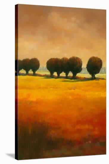 Pollard Willow II-Graham Reynolds-Stretched Canvas