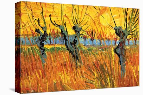 Pollard Willows at Sunset-Vincent van Gogh-Stretched Canvas