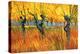 Pollard Willows at Sunset-Vincent van Gogh-Stretched Canvas