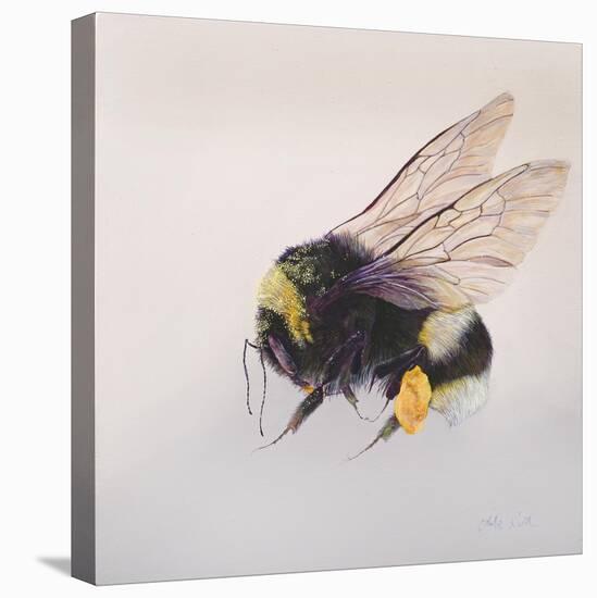 Pollen sac 2, 2011-Odile Kidd-Premier Image Canvas