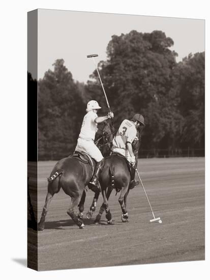 Polo In The Park II-Ben Wood-Stretched Canvas