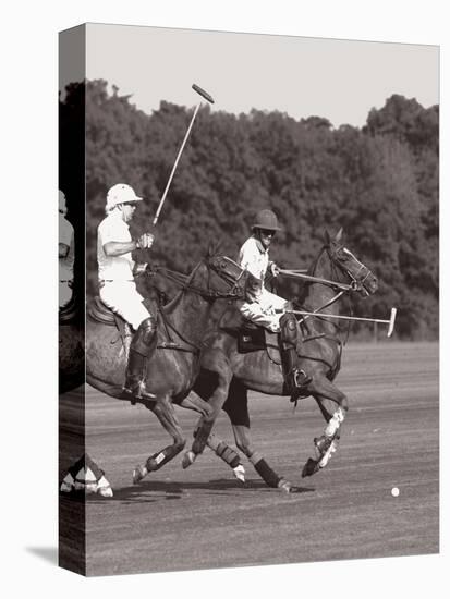 Polo In The Park IV-Ben Wood-Stretched Canvas