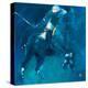 Polo Players - Blue-Neil Helyard-Stretched Canvas