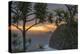 Pololu Valley Overlook at Sunrise, Hamakua Coast, Big Island, Hawaii-Maresa Pryor-Premier Image Canvas