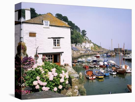 Polperro, Cornwall, England, United Kingdom-Roy Rainford-Premier Image Canvas